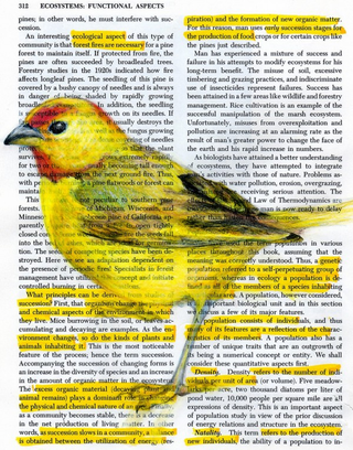 Illustration for article titled These textbook doodles are absolutely beautiful